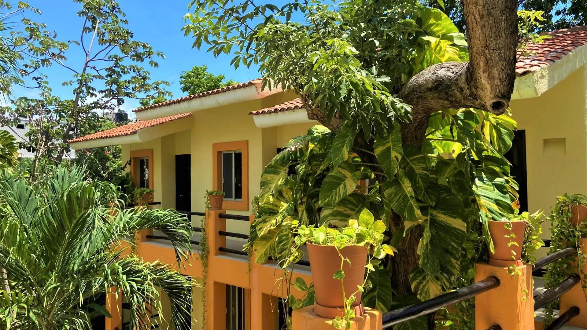 פלאייה דל כרמן Hotel Lunasol מקסיקו